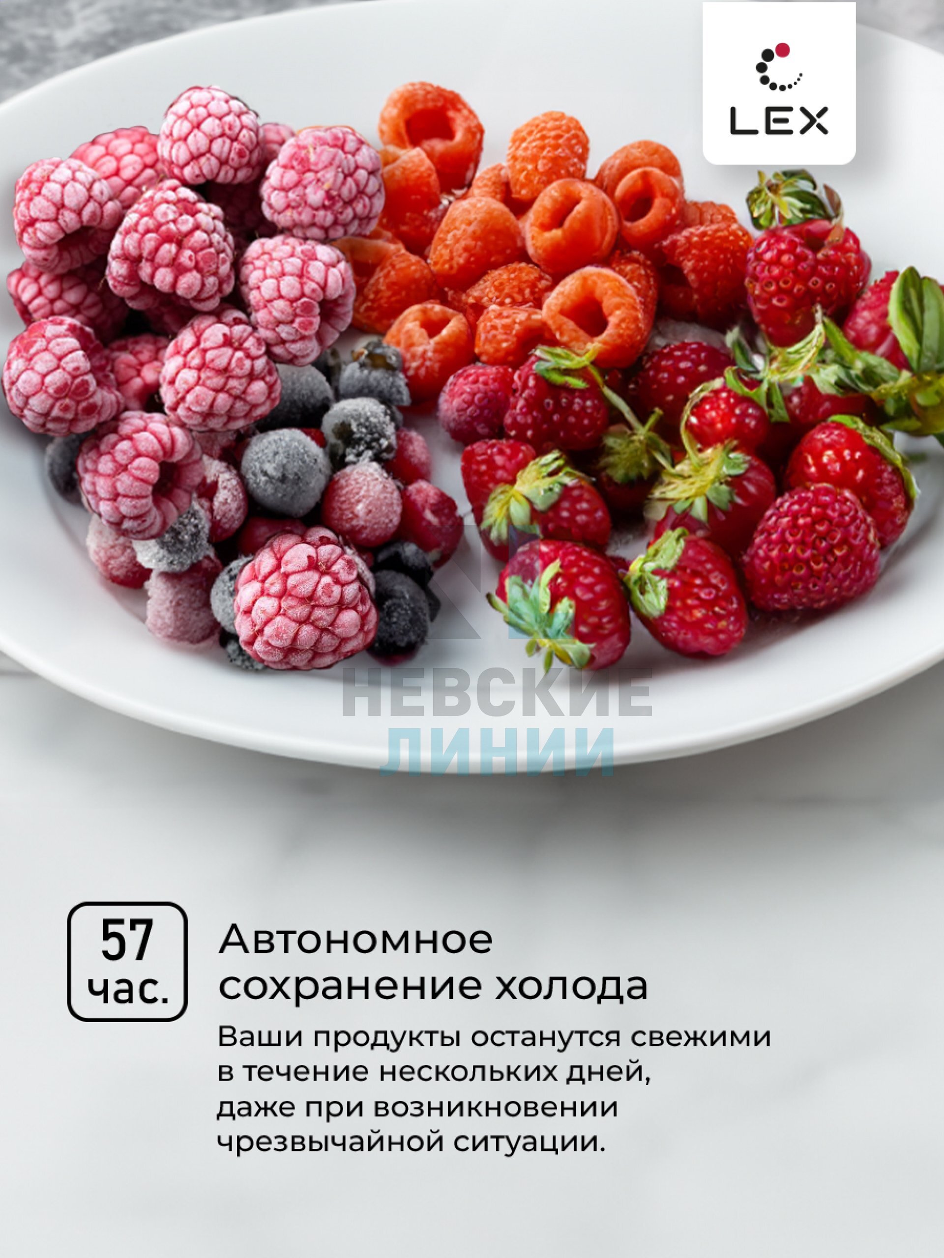 LEX LFR384