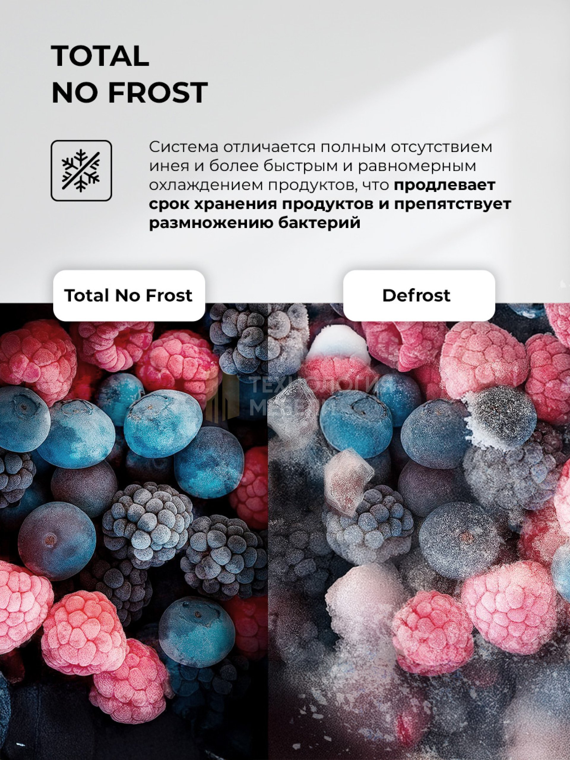 LEX LCD450 graphite skin